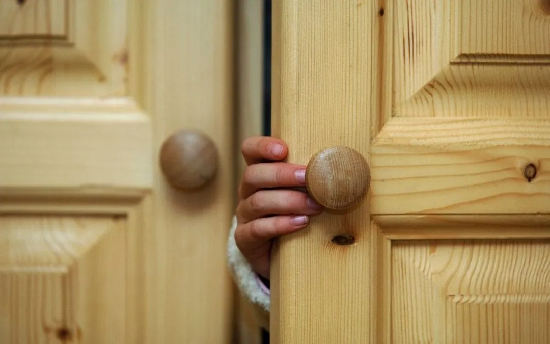 Get Back in the Closet, Ladies