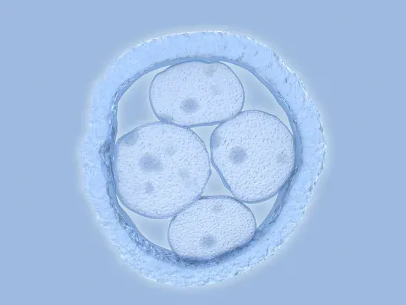 Sold as a Miracle, Now It Seems That It Is a Flop