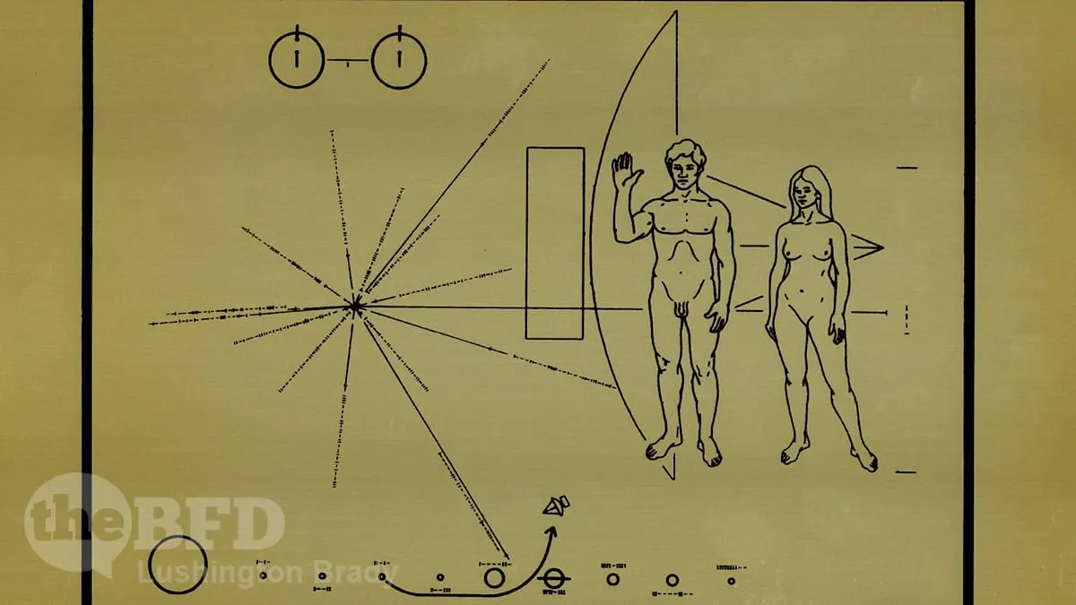 Yes, Sex Is Binary. Deal With It