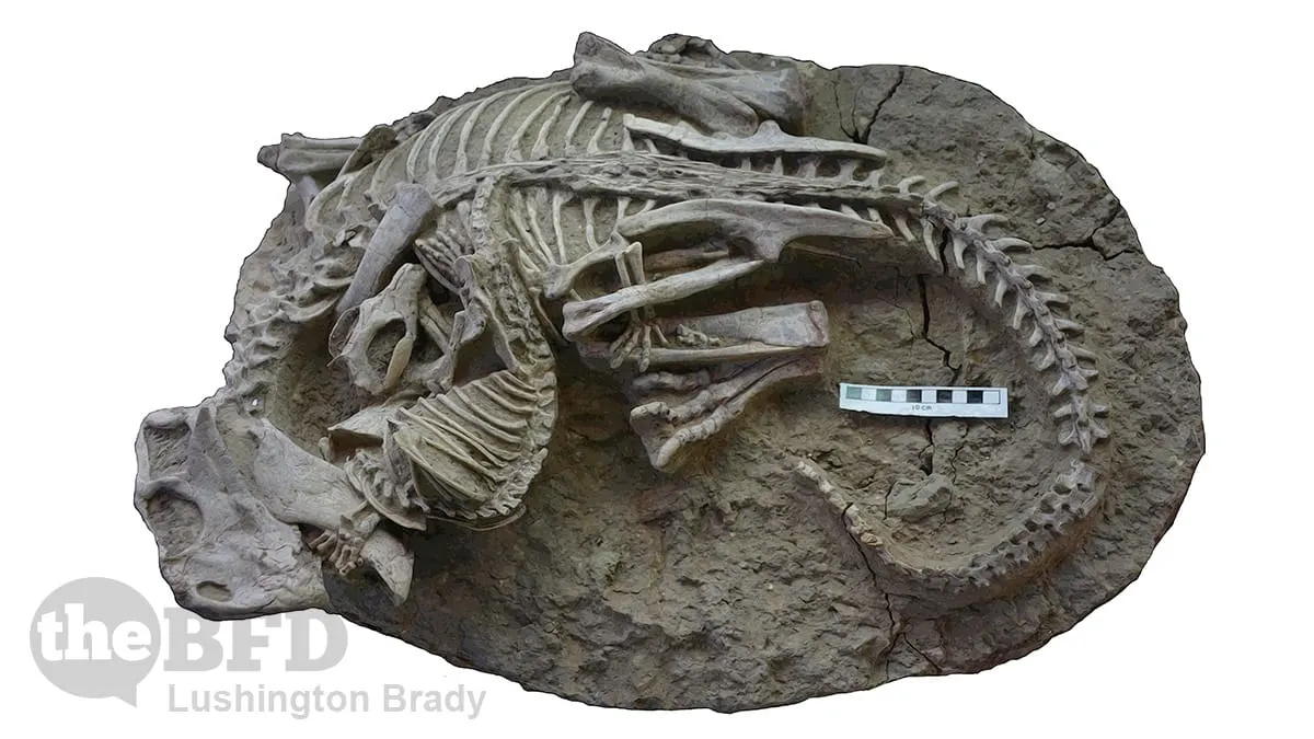 Bringing a Mammal to a Dino Fight