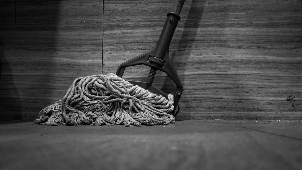 How the Freedom Movement Got Mopped Up