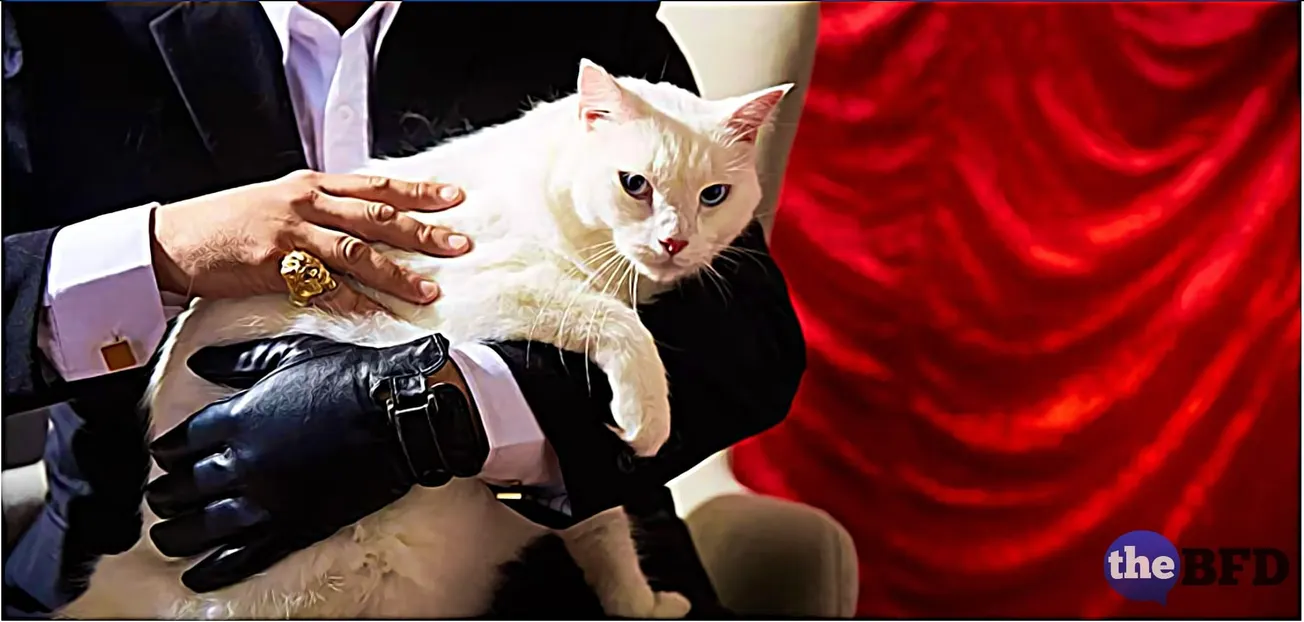 I Have a Little List