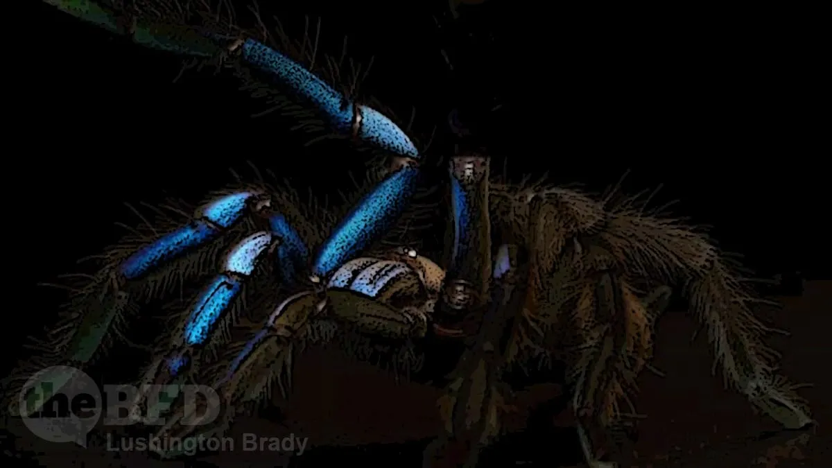 Nope. But in Blue, Too