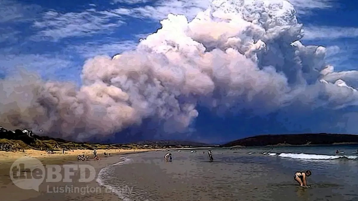 Why Tassie Burns So Easily