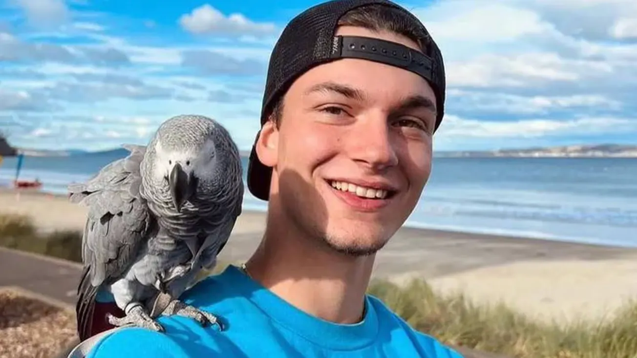 Face of the Day