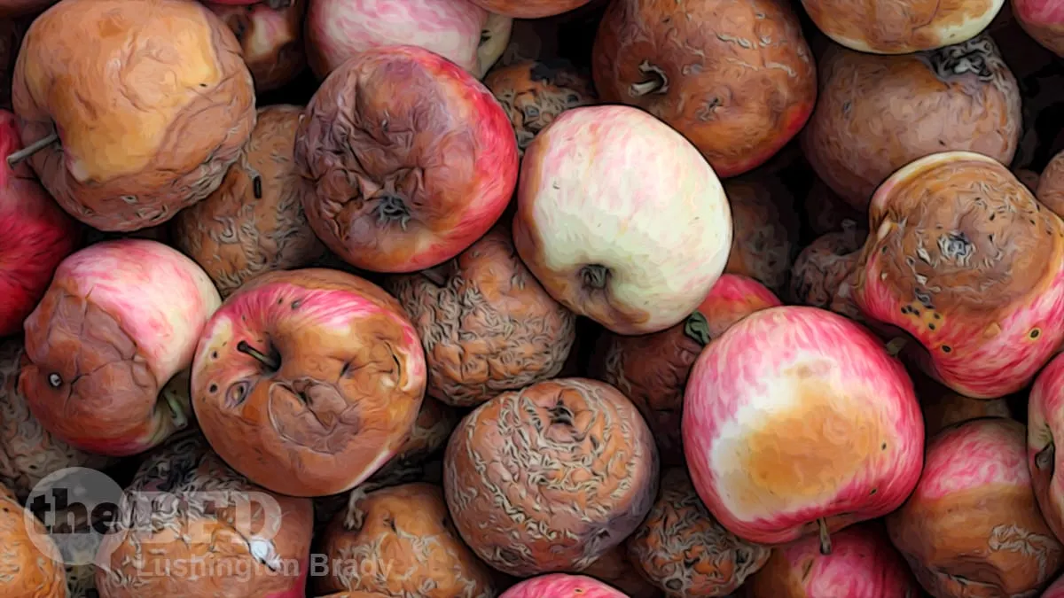 The Whole Barrel Is Off