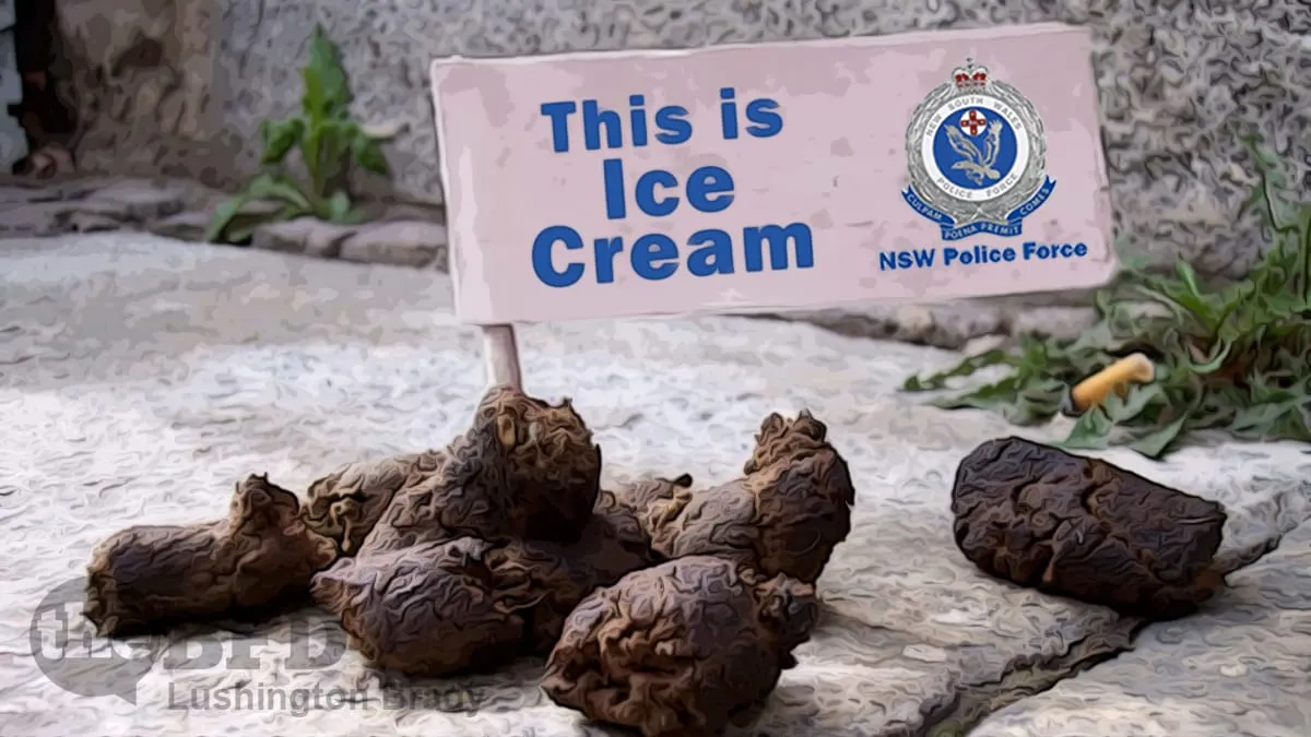 How Stupid Do They Think We Are?