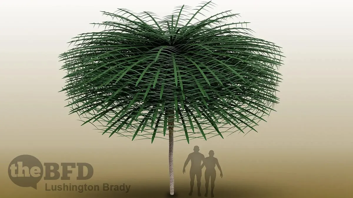 Ancient ‘Dr Seuss’ Tree Unearthed