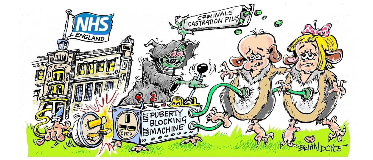 Will This Be the Downfall of the Trans Industry Era?