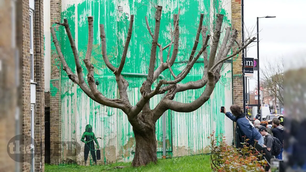 Ce N’Est Pas Un Arbre