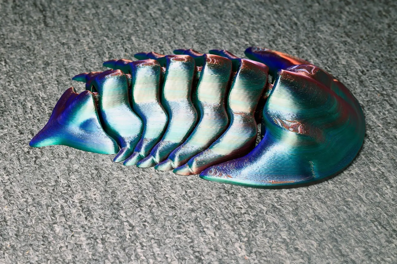 a close up of a shell on the ground