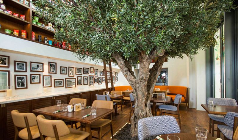 urth-caffe-city-walk-