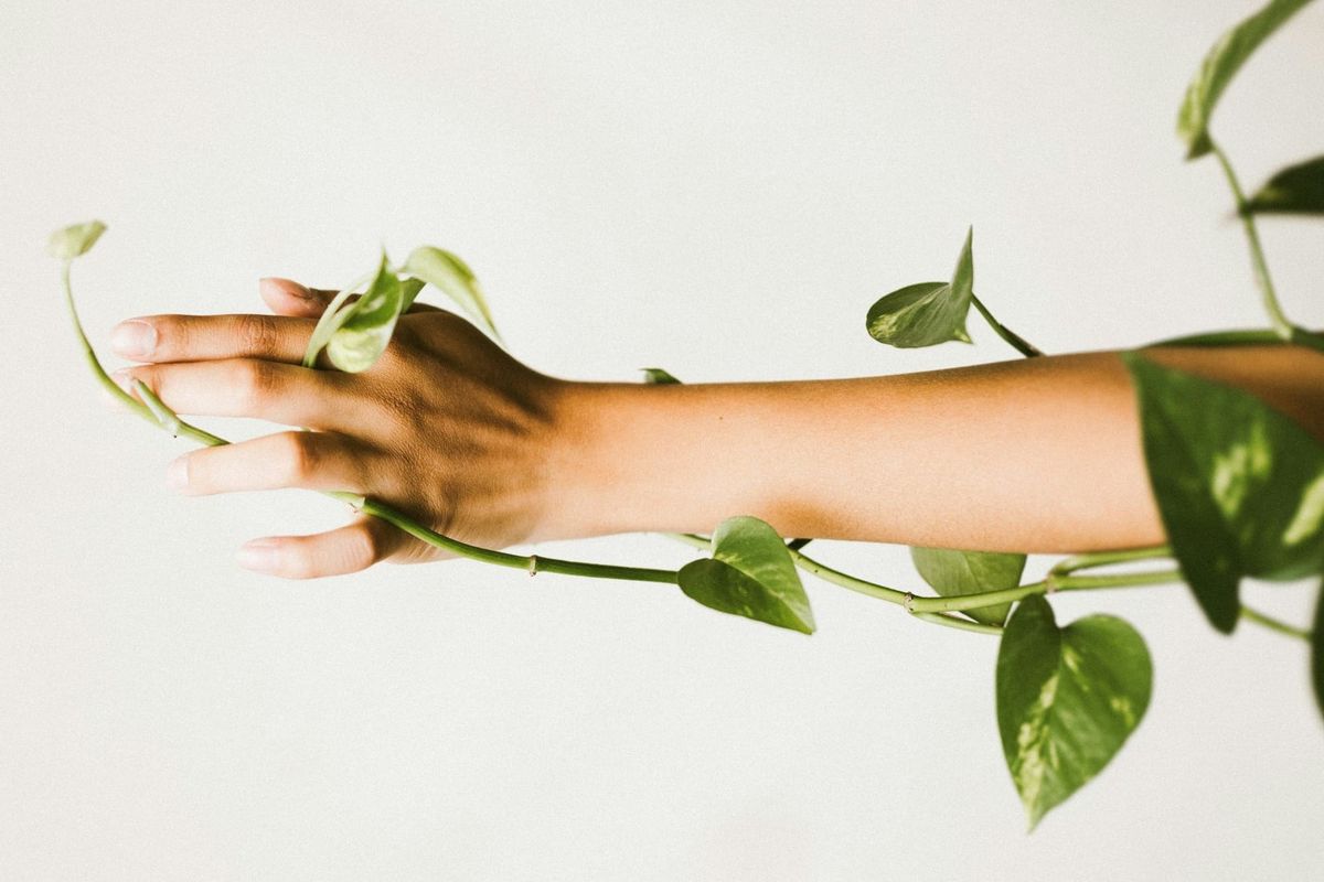 Yapay zeka ile engelleri kaldırmak: Nvidia'nın işaret dili çözümü