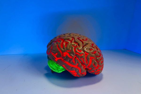 MIT araştırması, yapay zekânın beyin aktivitesini azalttığını gösteriyor