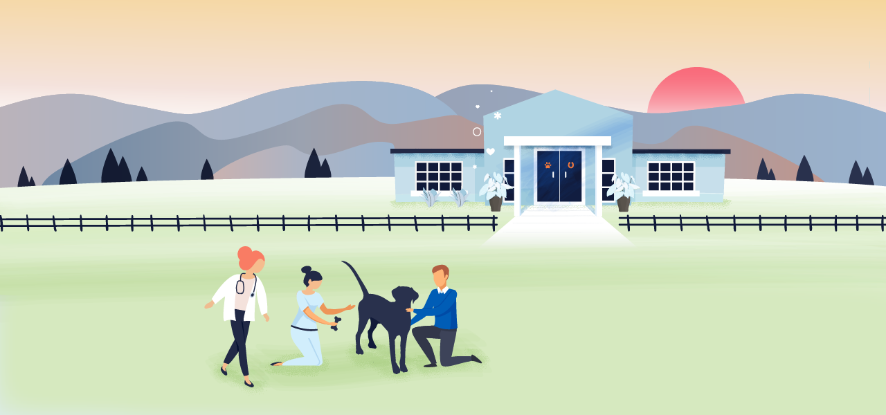 Post Pandemic: Preparing Your Veterinary Hospital for What's Next