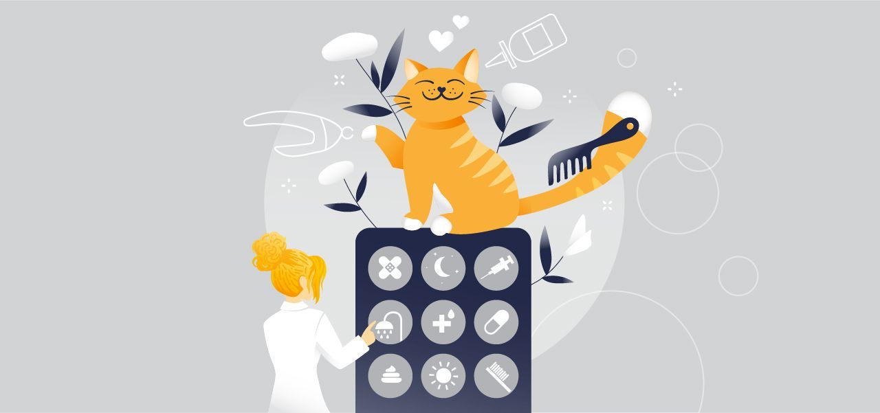 5 Instinct Workflows for Supercharging Efficiency in Veterinary General Practice