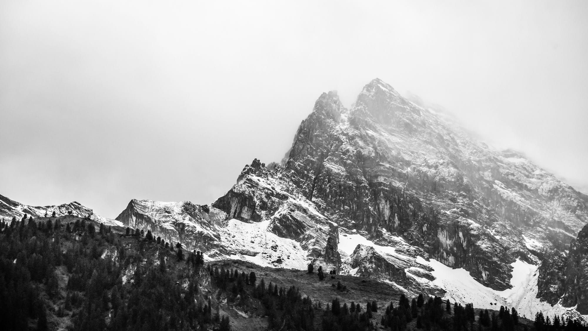 About The Meno Project