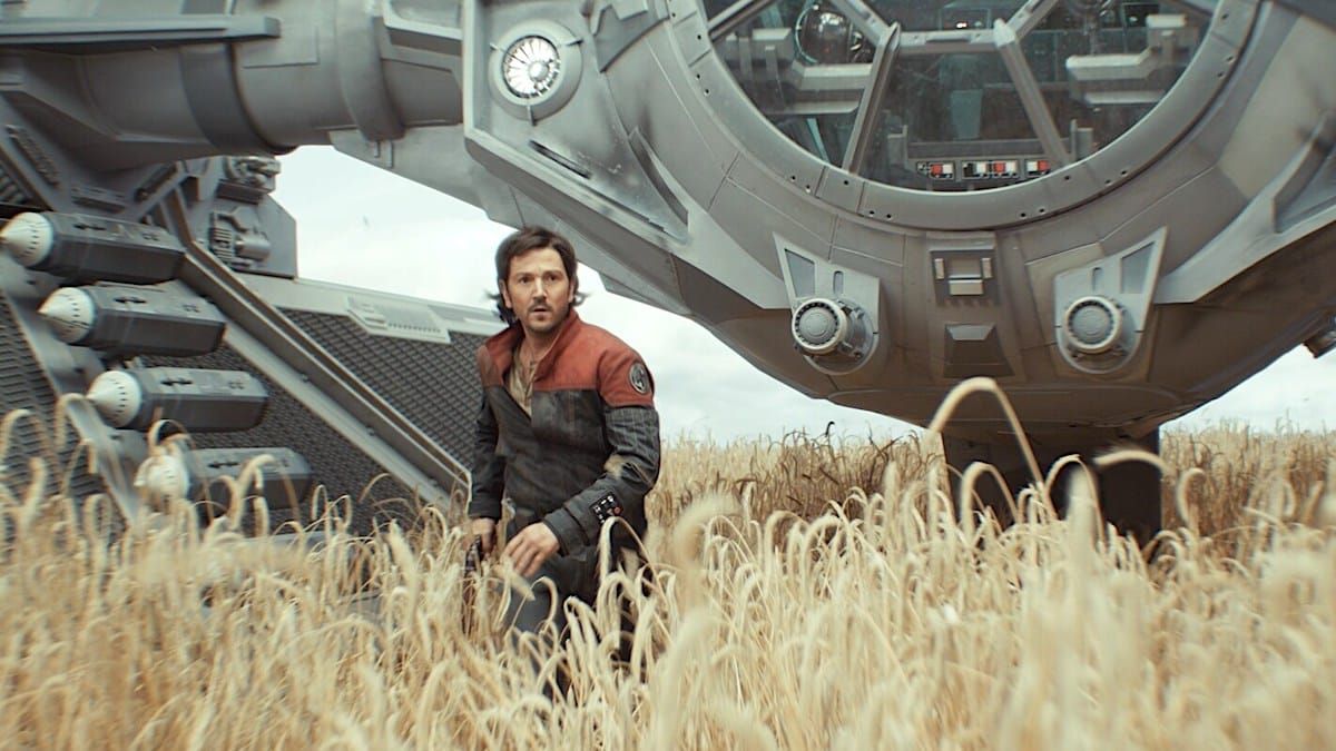 The Andor Special Edition: One Year Later / Sagrona Teema / Harvest