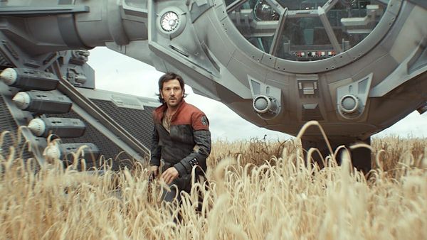 The Andor Special Edition: One Year Later / Sagrona Teema / Harvest