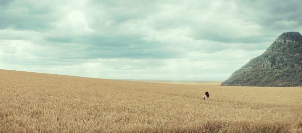 The Andor Special Edition: Make It Stop / Who Else Knows? / Jedha, Kyber, Erso