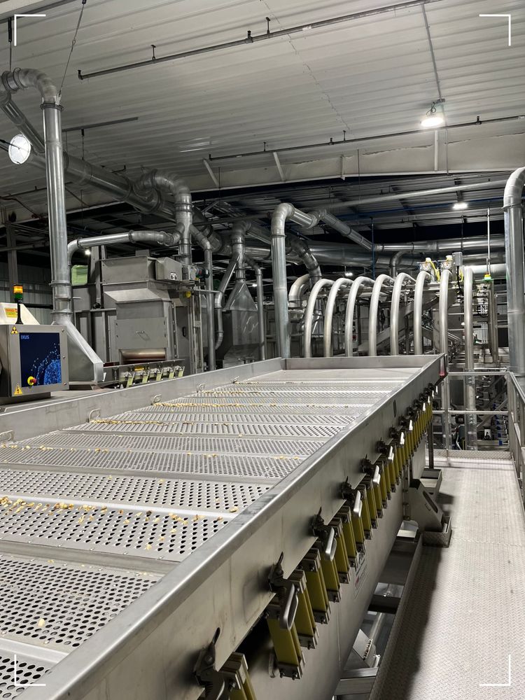 Vibratory Conveyors for Precision Pistachio Sizing