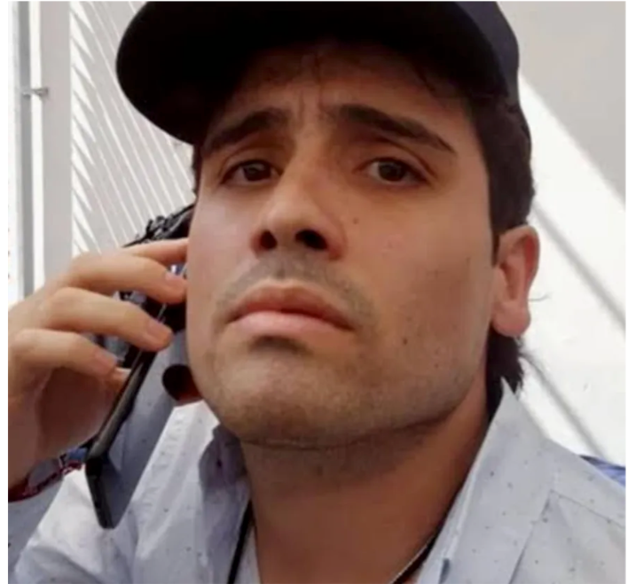 Ovidio inicia su cooperación con el gobierno de Estados Unidos