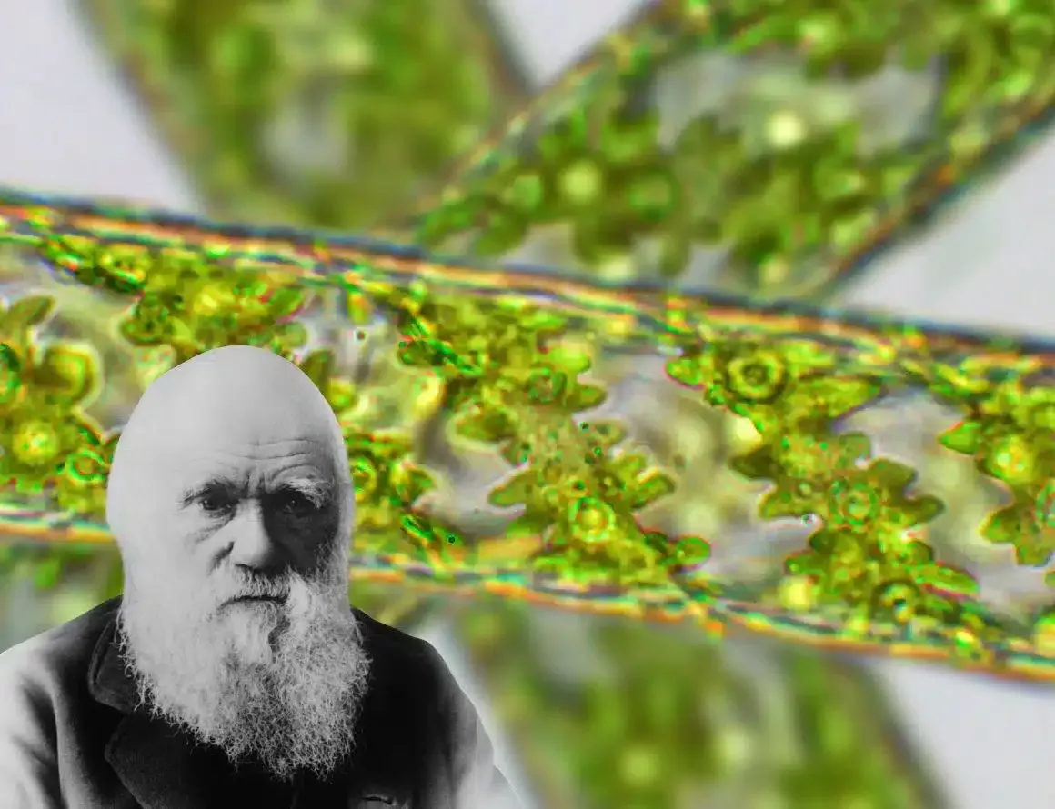 La ecología de la resurrección y los fantasmas de Darwin