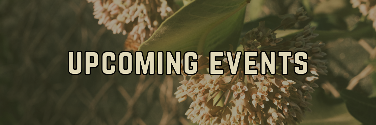 Upcoming Events