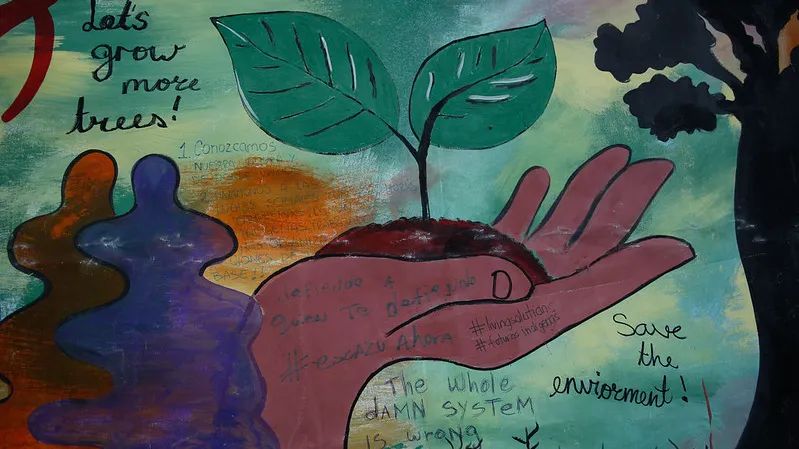 COP27 action on rogue carbon credits threatens India's market lead