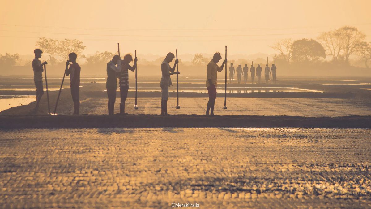 IPCC: A decade to decarbonise the world