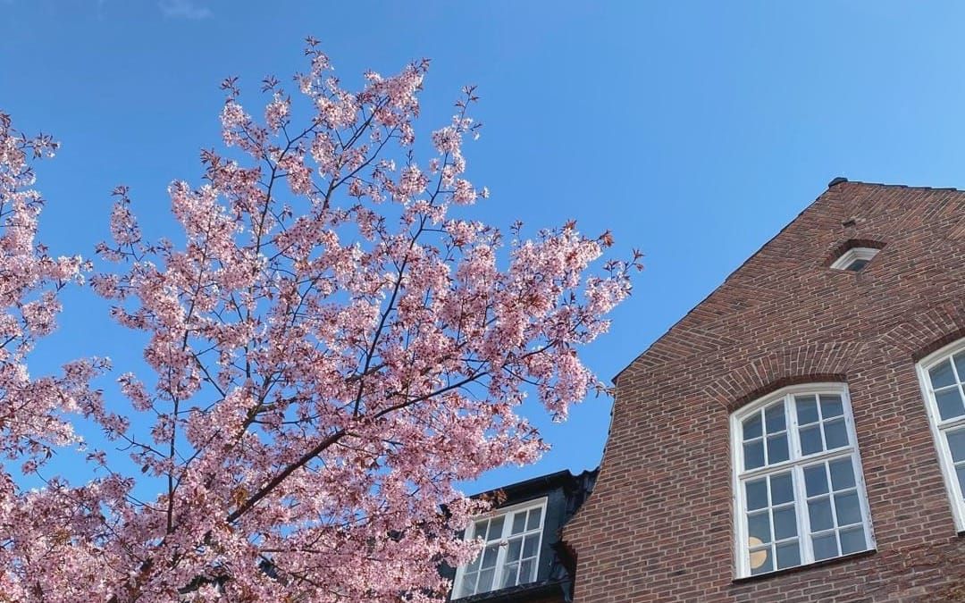 My story before PhD study in Sweden