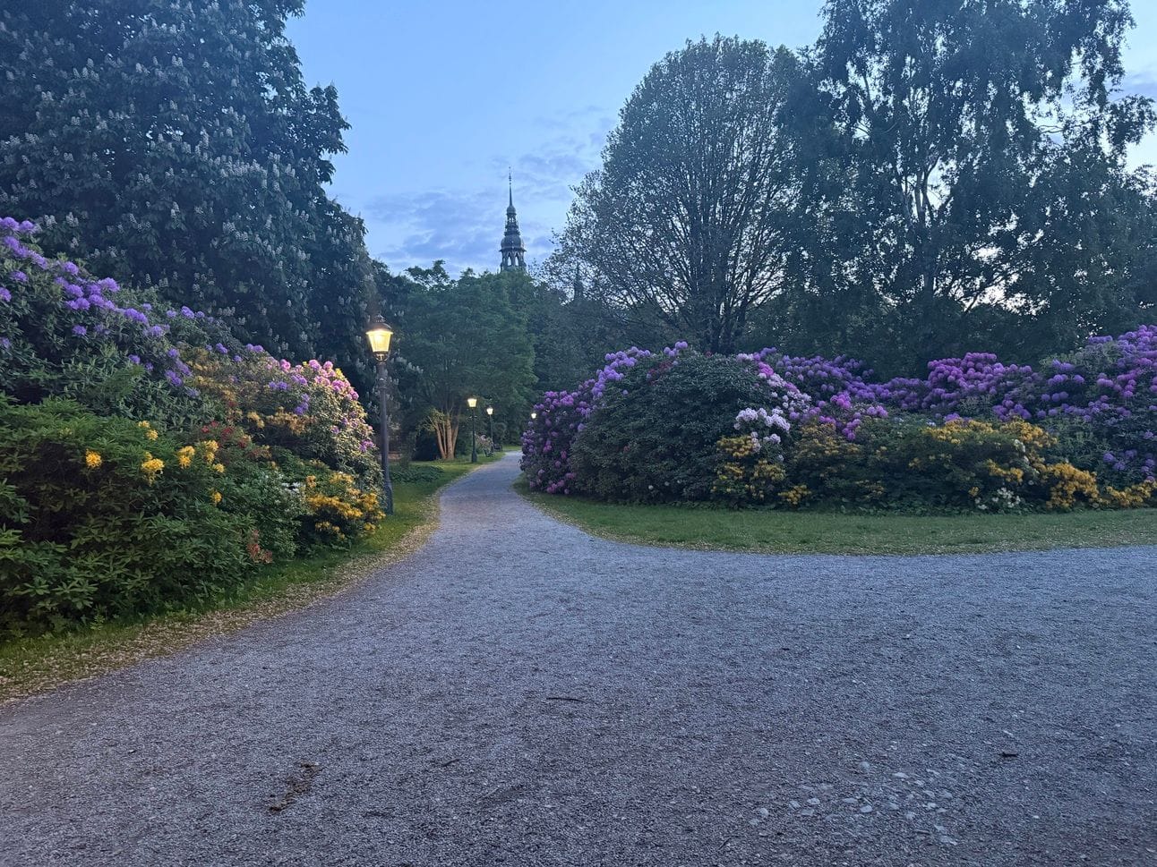 Beautiful park in stockholm
