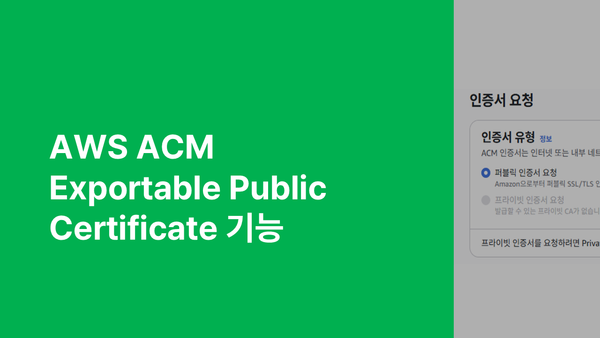 ACM Exportable Public Certificate 기능