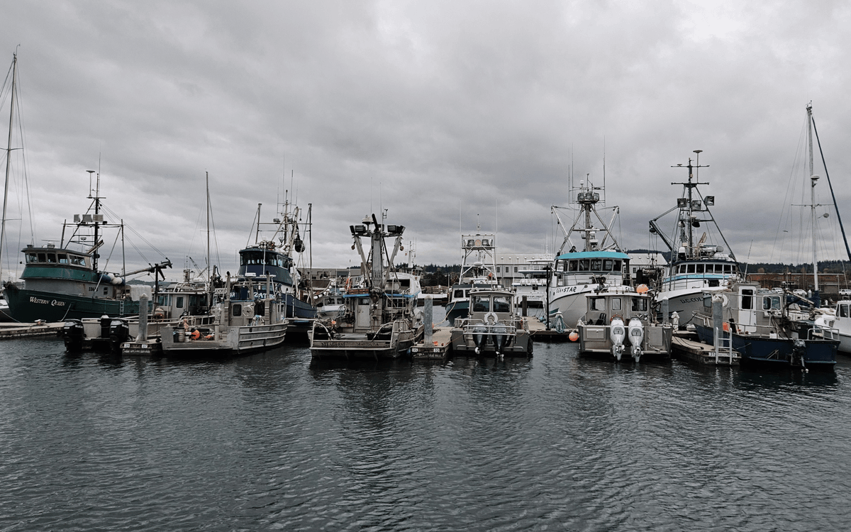 Funding flows in for WA ports and ferries