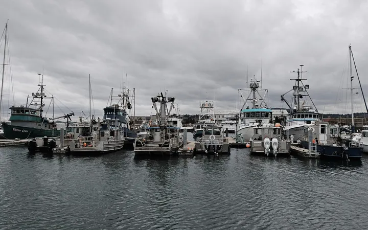 Gray and white boats equipped for fishing sit at a dock with gray skies above.
