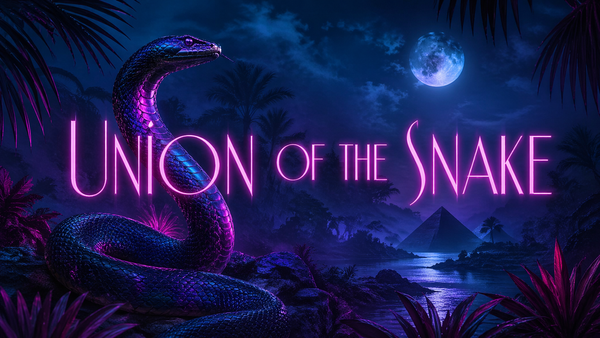 Union of the Snake, il fascino inquieto dei Duran Duran