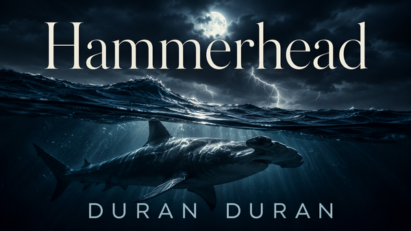Hammerhead dei Duran Duran: l’urto moderno di Future Past