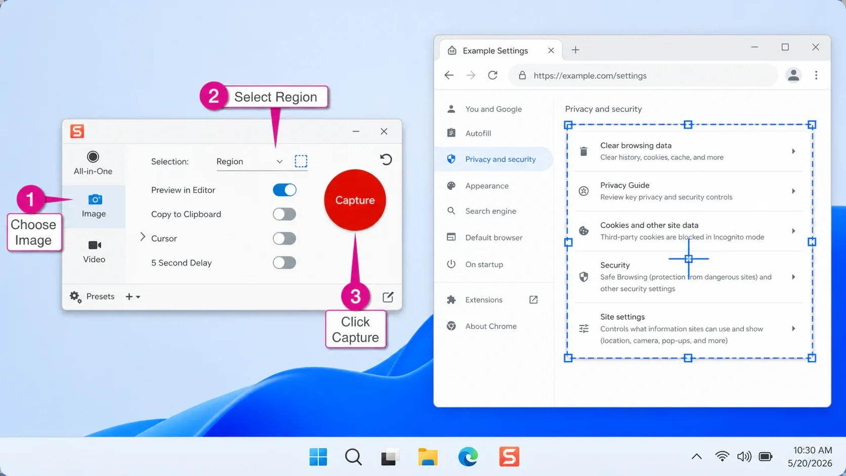 Snagit beginner region capture with Image mode and Preview in Editor enabled