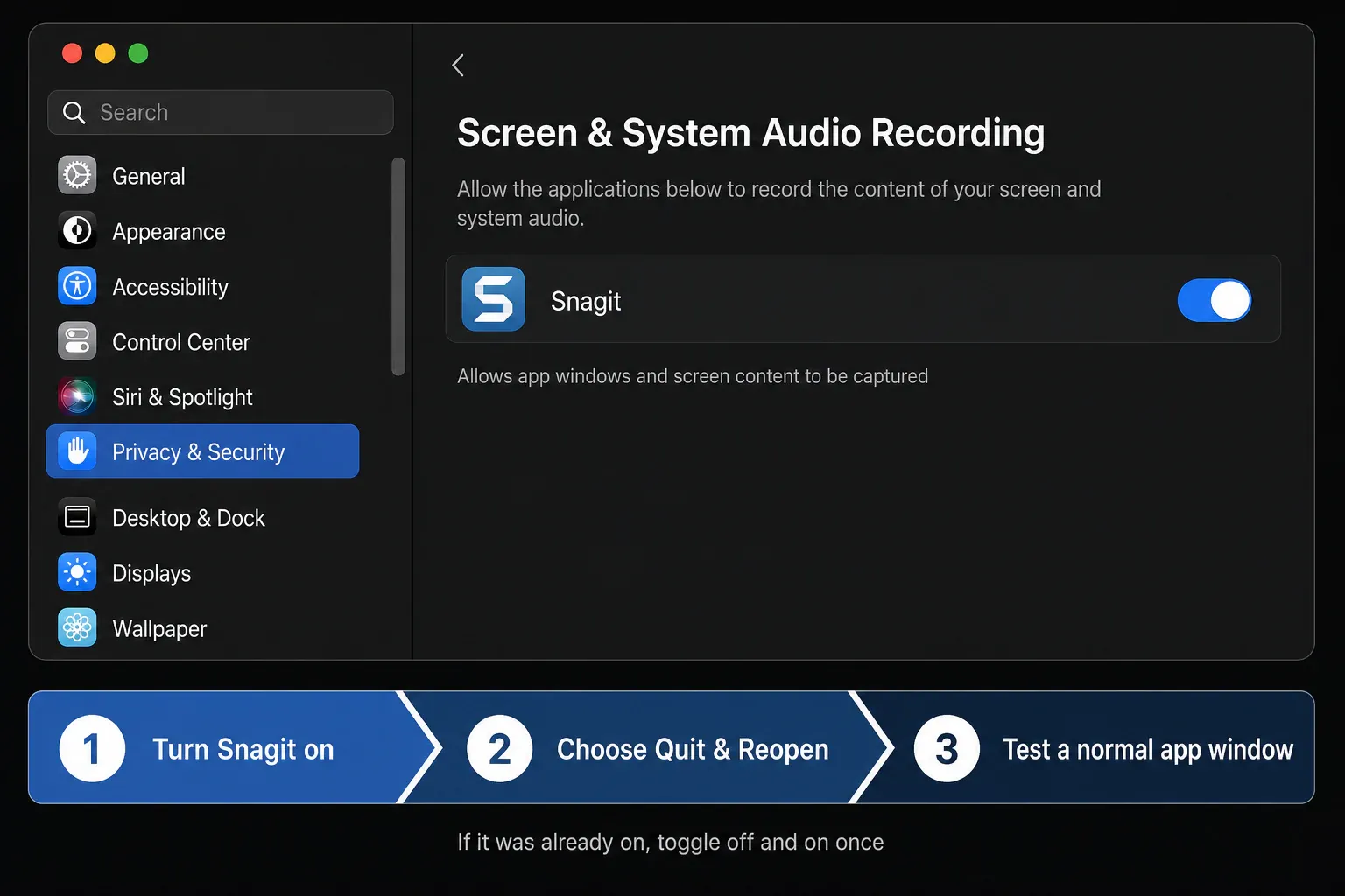 macOS Screen and System Audio Recording permission enabled for Snagit with Quit and Reopen