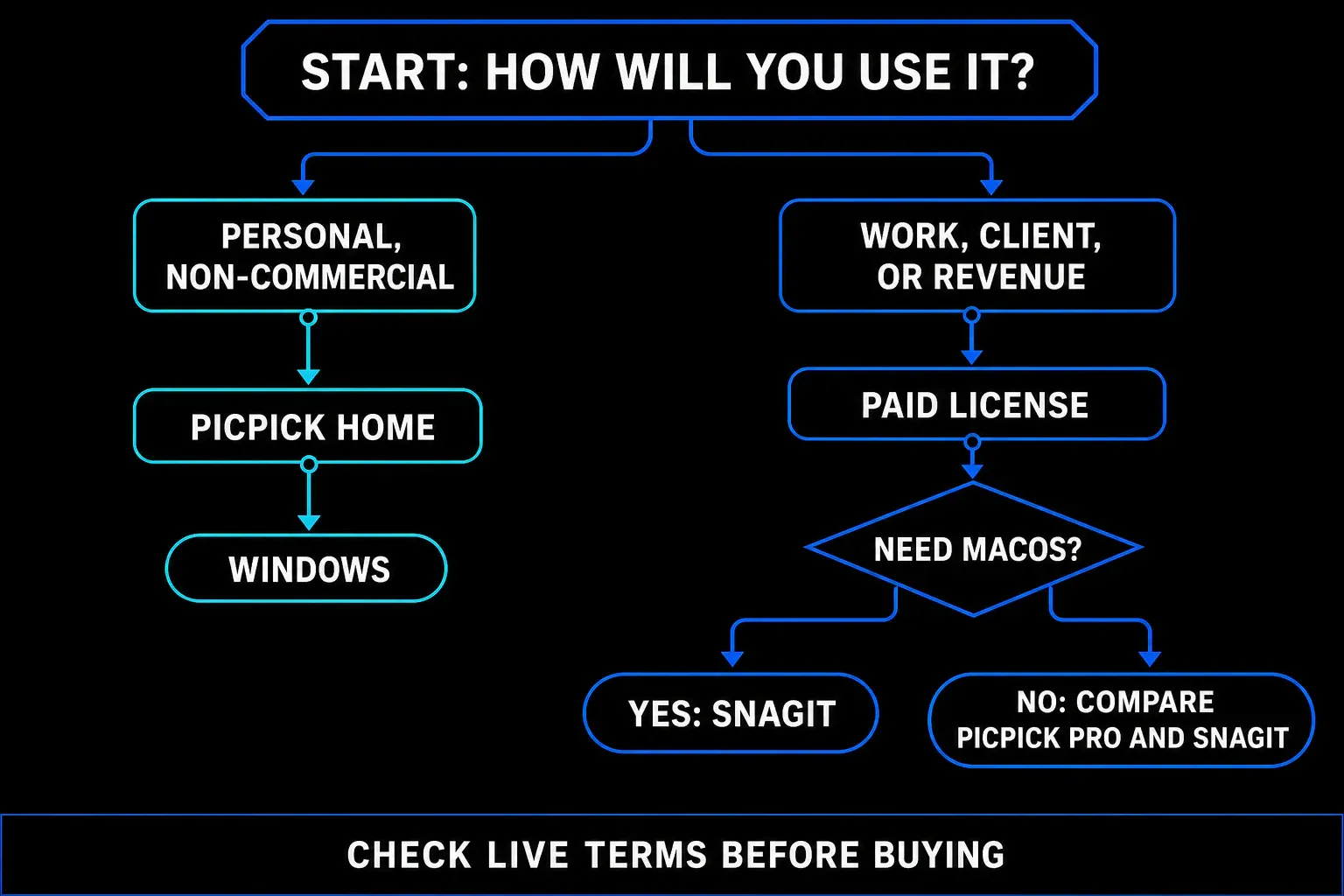 License and platform gate for PicPick personal and business use versus Snagit on Windows and Mac