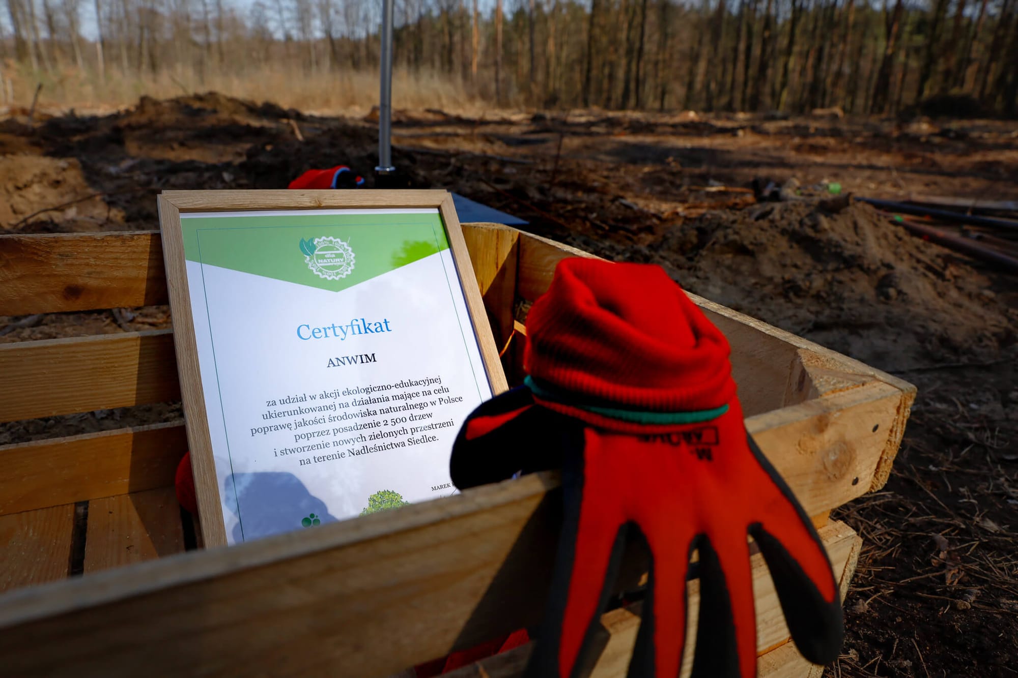 Сеть АЗС MOYA в Польше продолжает экологическую миссию: уже высажено 8000 деревьев