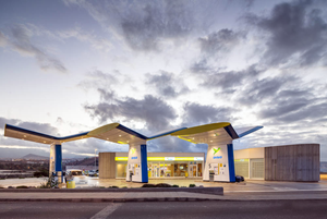 Колибри в форме навеса DISA