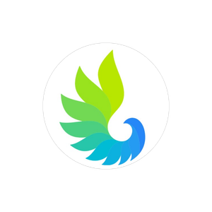 GASENERGY