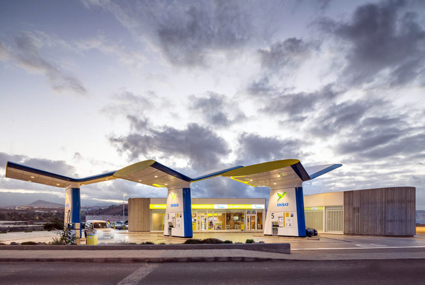 Колибри в форме навеса DISA