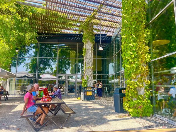 Влияние открытых зон отдыха на продажи трассовых комплексов