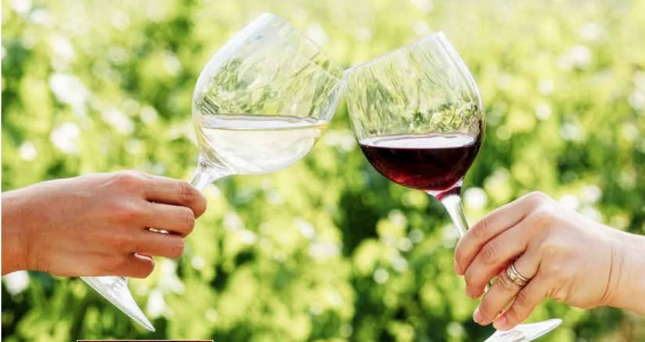 Kalecik’in eşsİz teruarından gelen İYİ şarap: VİNKARA