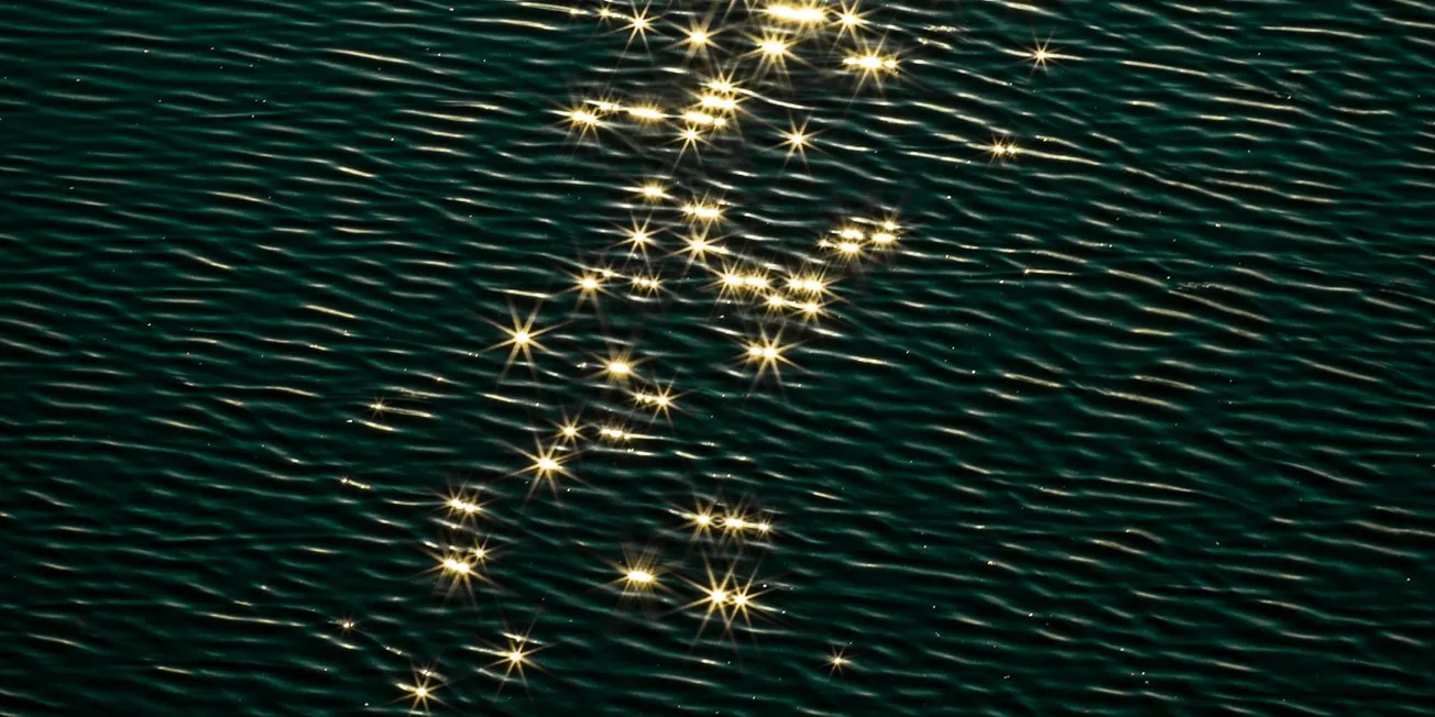 Bir Eşik, Bir Ses, Bir Umut