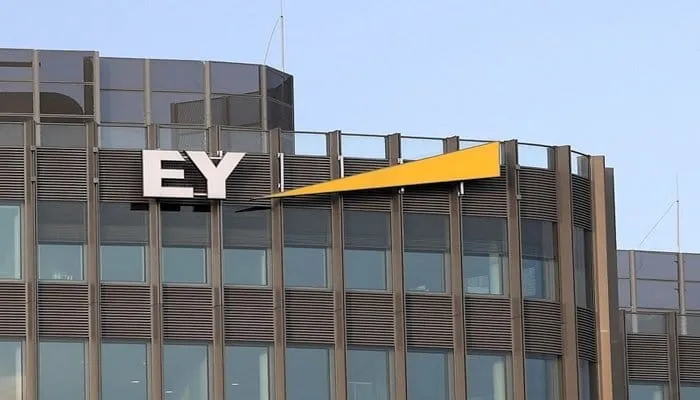 EY Türkiye'den Eurasia Bölgesine üst düzey atama