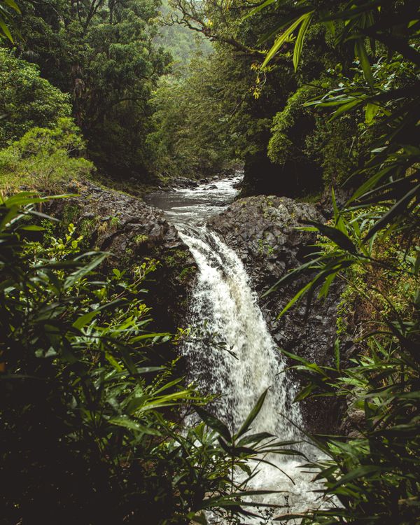Water