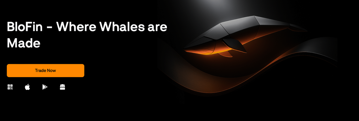 Blofin – Nền tảng Copy Trade đang bùng nổ: Cơ hội kiếm lợi nhuận thụ động ngay hôm nay!
